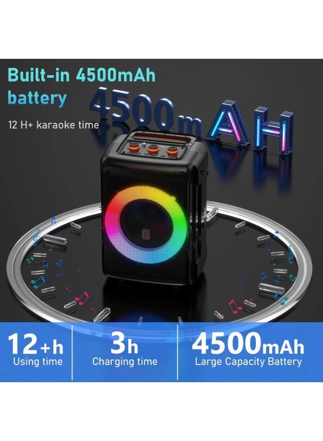 AE-D13 - 2 Microphones