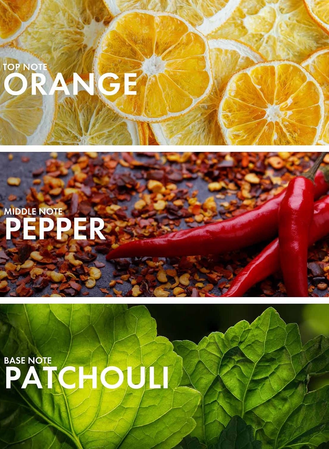 Grapefruit Patchouli Eau de Parfum 50 ml