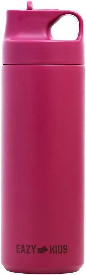 SAMBOX Insulated Stainless Steel Water Bottle - Sipper Lid 550 ml