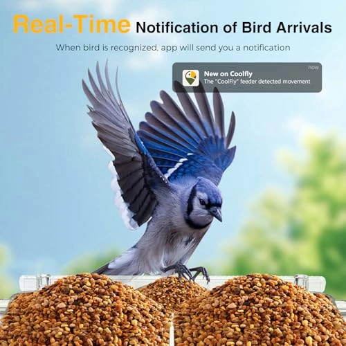 Close-Focus Window Bird Camera 2K