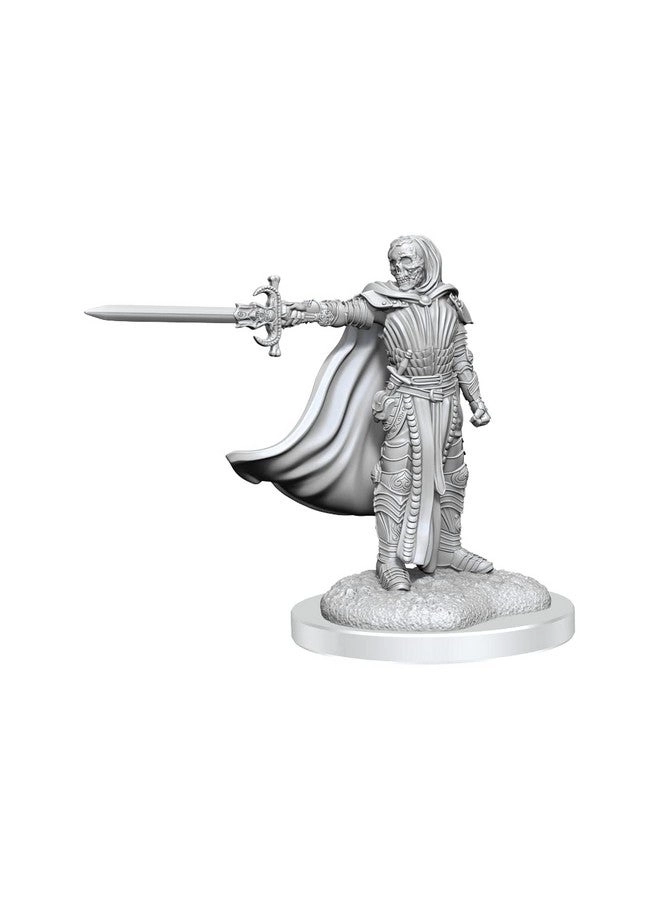 WizKids Death Knights - D&D Nolzur's Marvelous Miniatures