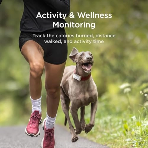 GPS Tracker