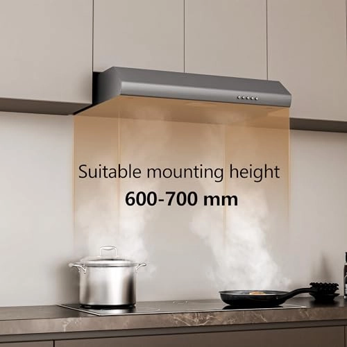 FGS-EBL02Z460CC - 350 m³/h 60 cm