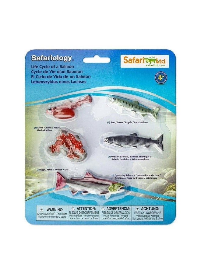 Safariology Collection - Realistic Life Cycle of a Salmon - 3 years+ 5 pieces