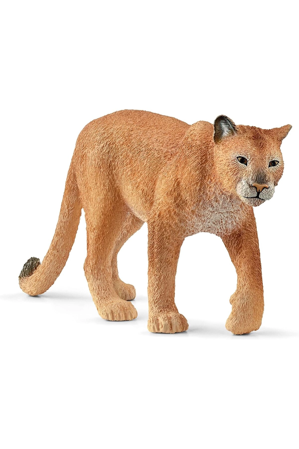 COLOR LAND CHILDRENS TOYS CENTER LLC Cougar - 3 yr(s)