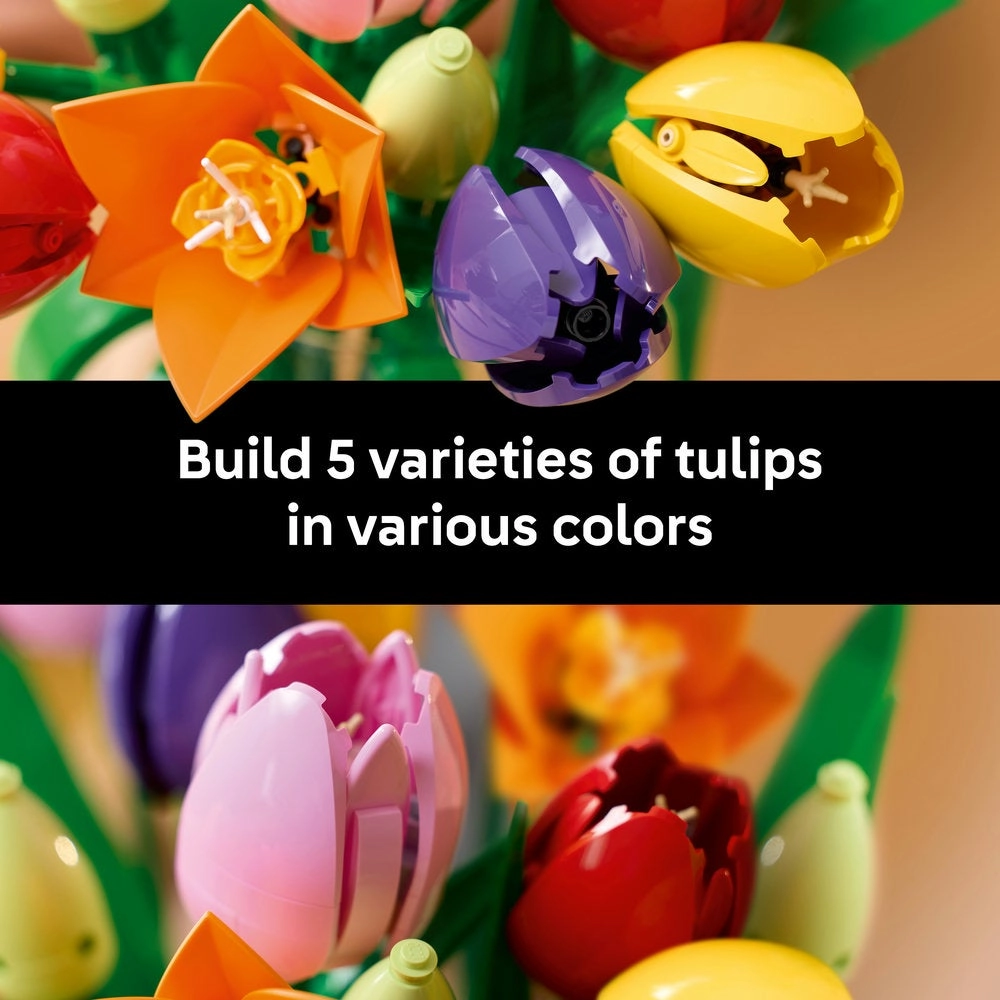 Botanicals Tulip Bouquet (11501)