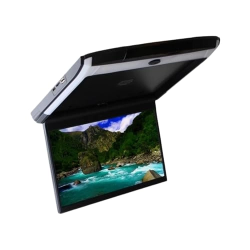 Car Roof Monitor - 11.6 inch