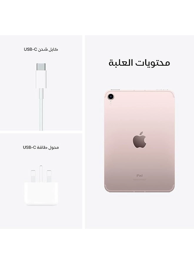 iPad mini (2021) - 256GB 8.3"
