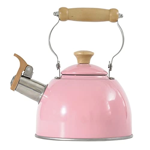 Stainless Steel Kettle - 2.5L