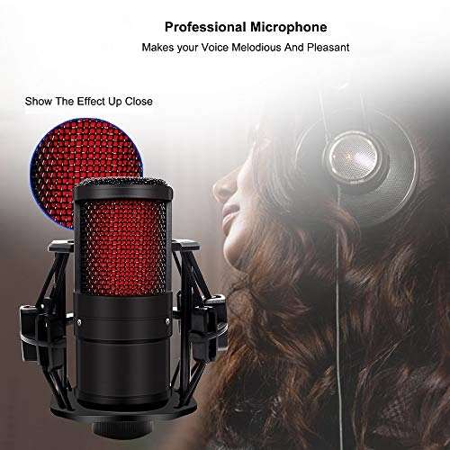 ss1/i47612 USB+3.5mm-Mini-Jack Microphone