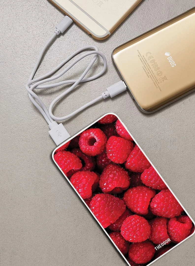 EX_PPBA497 - 10000 Watt-hour