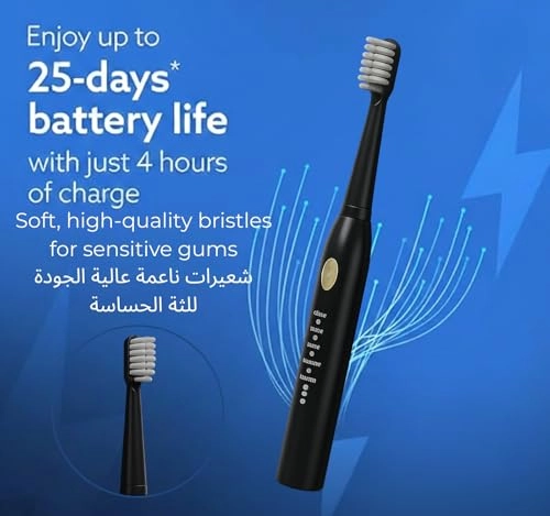 FVBD348 - Five Modes 25 Days Battery 2 Brush Heads