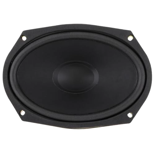 DriSentri Coaxial Speaker - 6x9 Inch