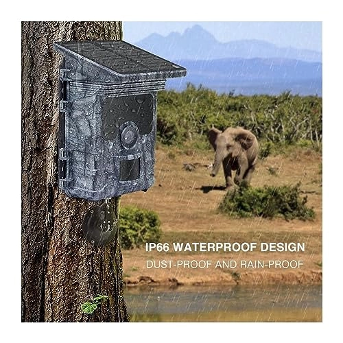 Wildlife Camera - 8MP