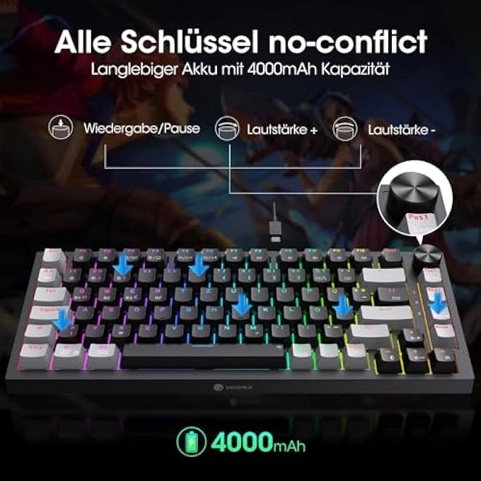 Mechanical Keyboard - DE Wired/Wireless