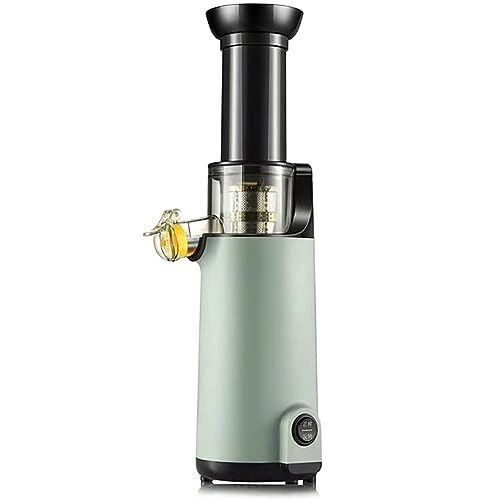 masticating juicer - 120W
