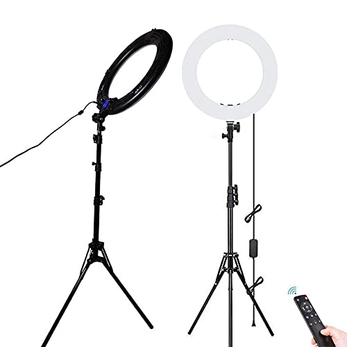 LED Ring Light - 22 Inch