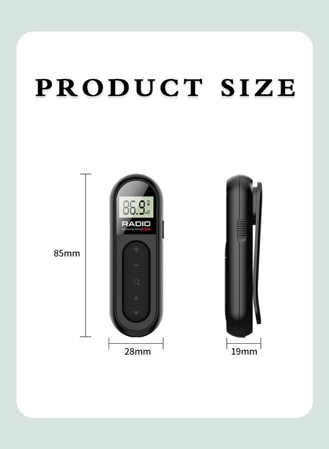 Portable Radio