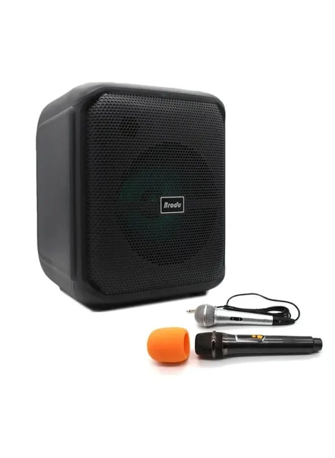 BTS 1740 - Dual Microphone