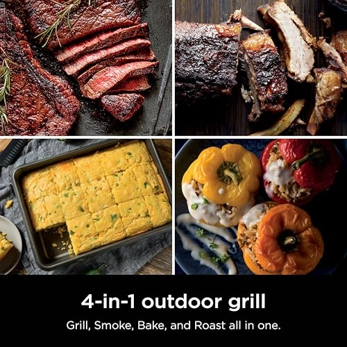 Woodfire Outdoor Grill & Smoker - Electric