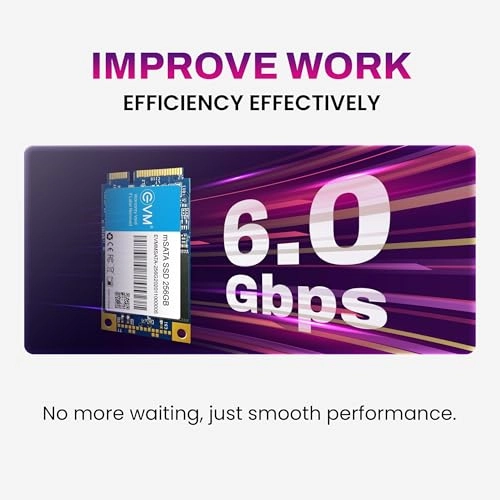 EVMMS - 256GB mSATA