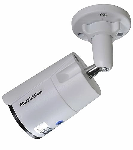 1000TVL Camera
