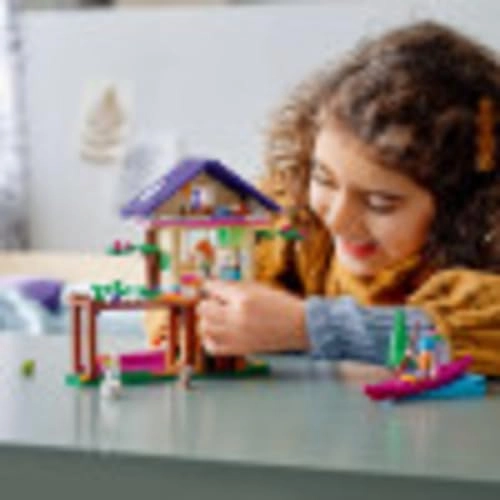 Friends Forest House (41679)