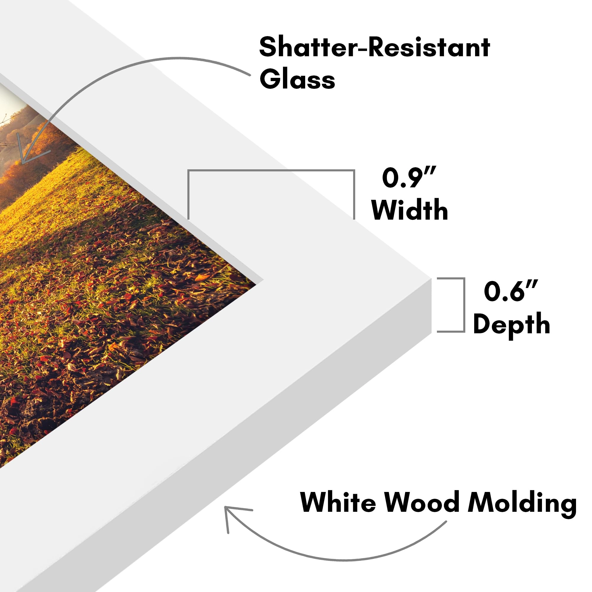 8x10 Picture Frame - 1