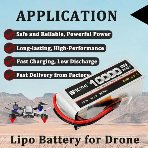 Lipo Battery - 10000mAh