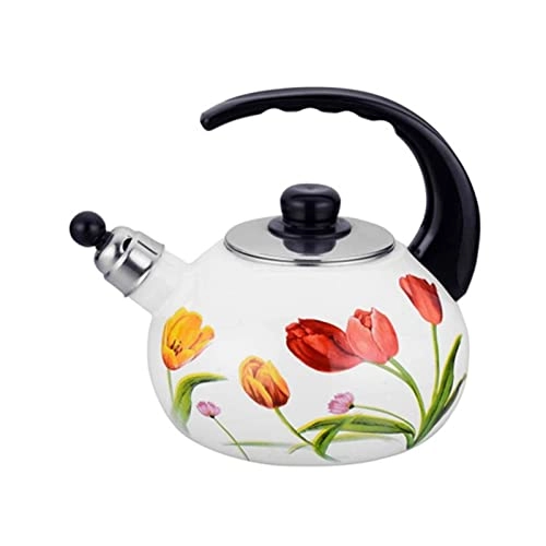 Kettle - Stainless Steel Auburn