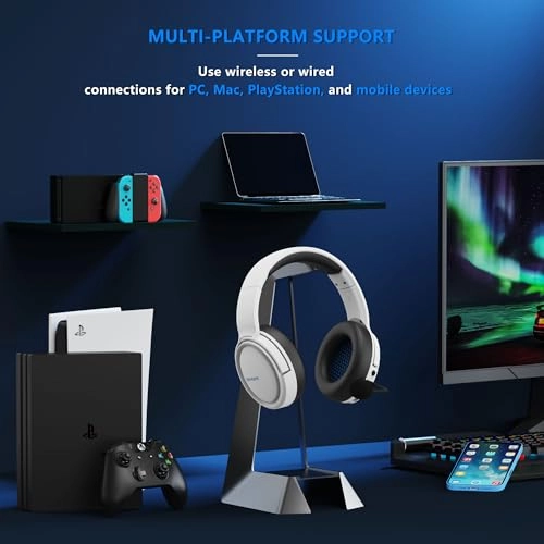 BW02-BT Wireless Headset