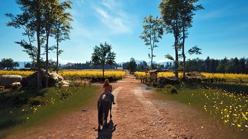 Windstorm: Start of a Great Friendship Remastered - PlayStation 5