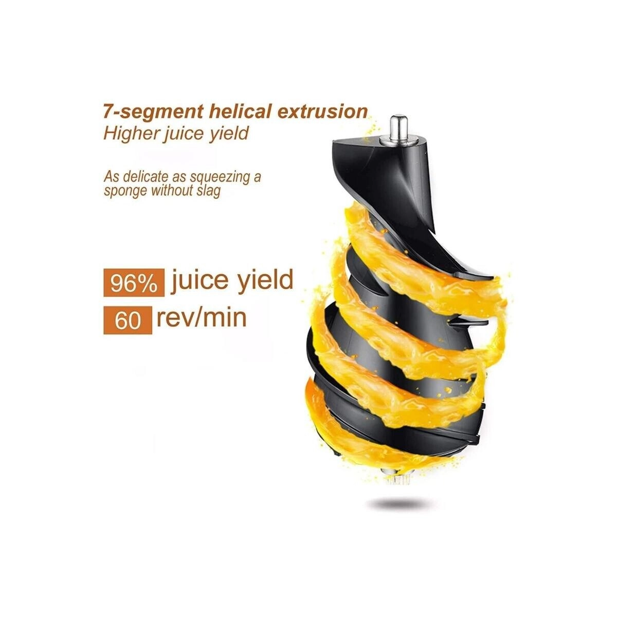 Multifunctional Juicer