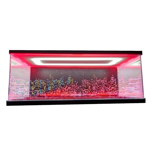 Display Case - LE/GO