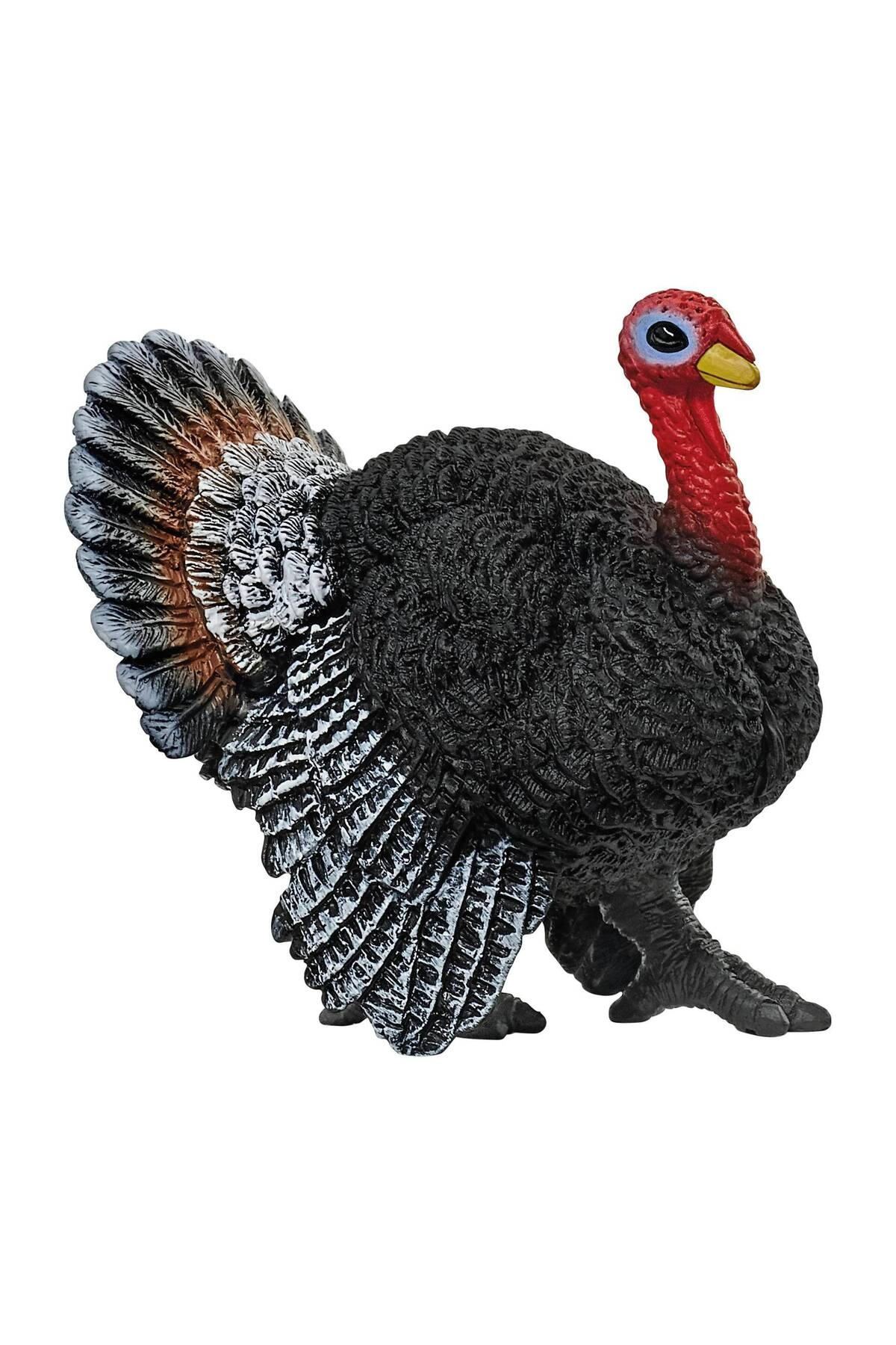 COLOR LAND CHILDRENS TOYS CENTER LLC Turkey 13900 - 3yr 1pc