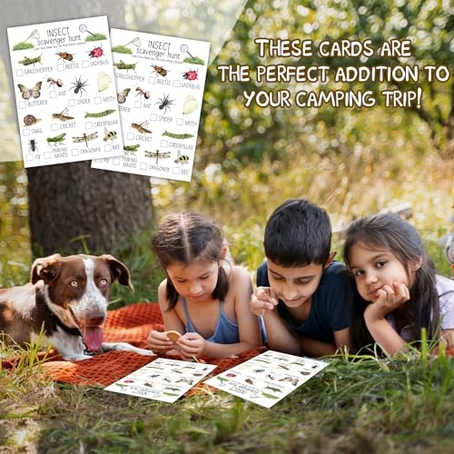 Insect Scavenger Hunt Cards - 30 piece(s) 15 years and up
