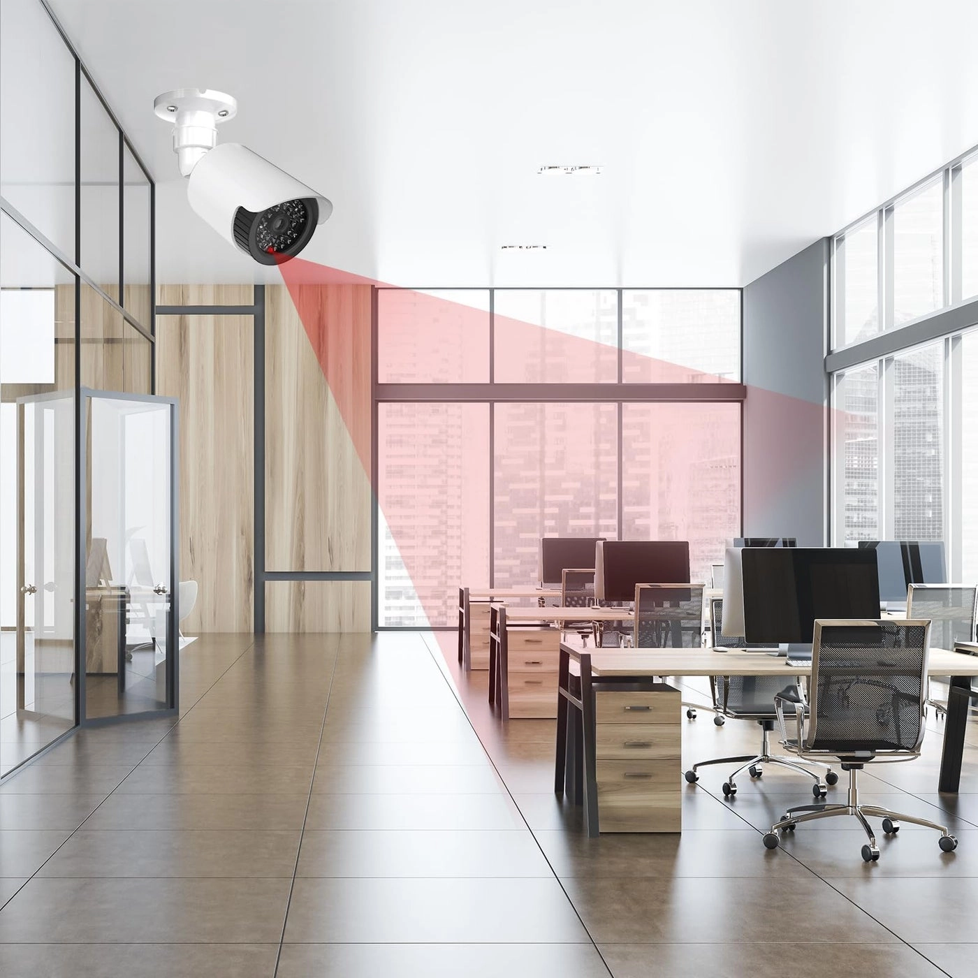 Dome Simulation Camera - indoor and outdoor Pack