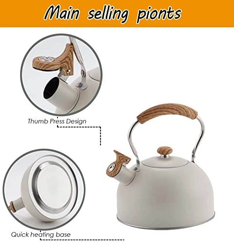 Stainless Steel Kettle - 2.5L