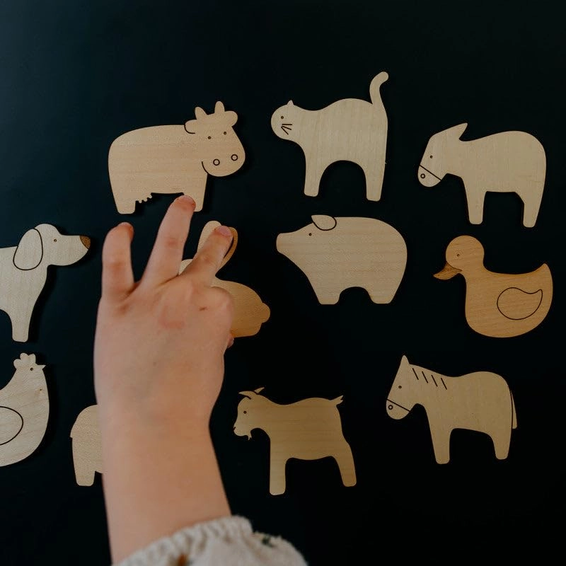 Magnetic Wooden Game - 3 Years 11 pieces