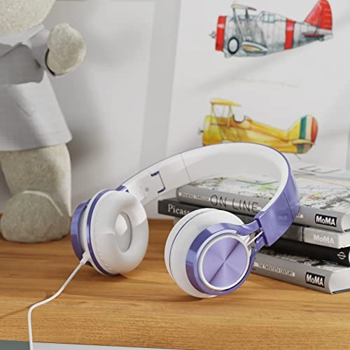 MS300 Wired Headphone