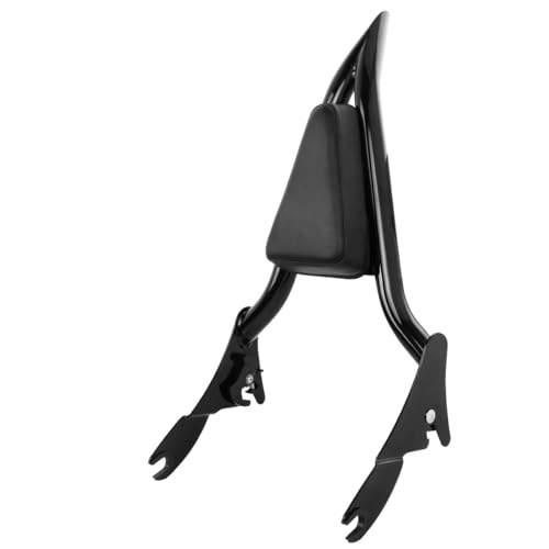 Havoc Sissy Bar