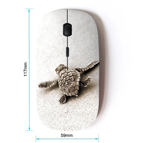KOOLmouse M-8007002 - Wireless