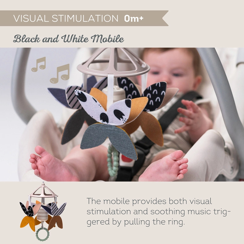 Newborn Kit - 0 Months