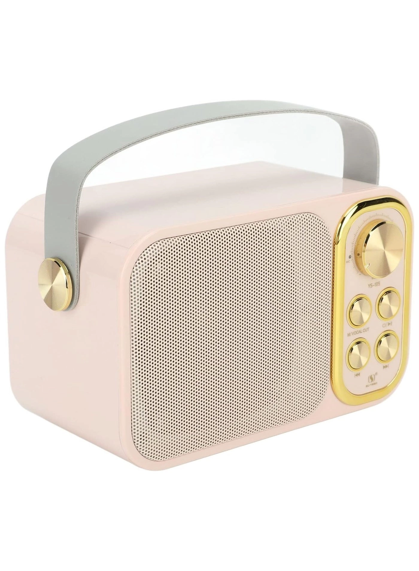 Outdoor Party Vocal Machine - 2 microphones