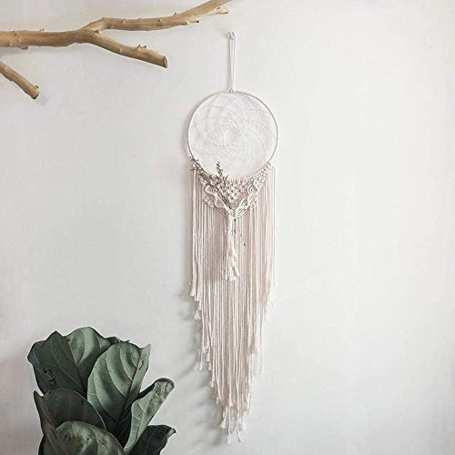 Dreamcatcher - Siderosphere, feathers, lines, wood beads.