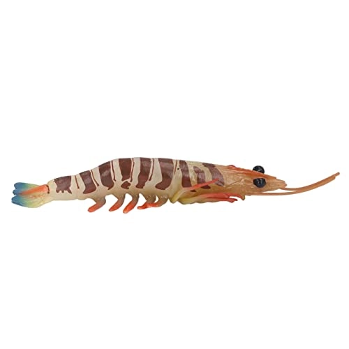 Marine Prawn - 18 months - 3 years