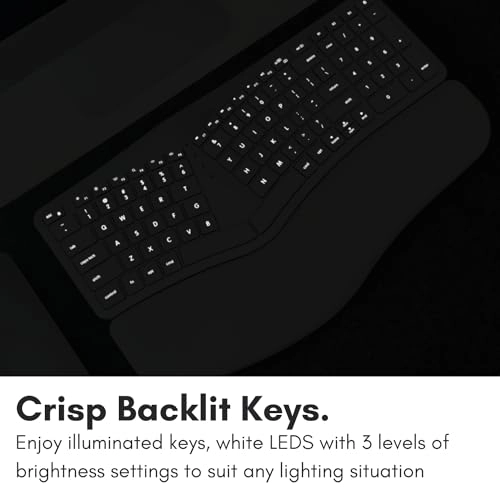 BTBLERGO2A - US Wireless