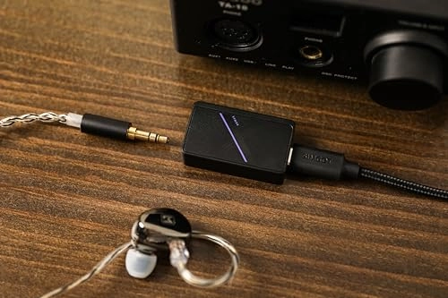 DEW4X - Portable In-Ear Monitor Amplifier 384kHz/32Bit