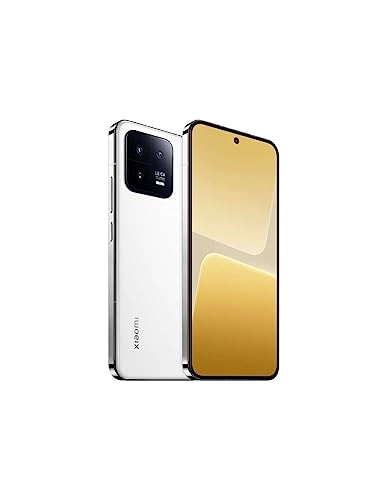 13 - 8GB 256GB