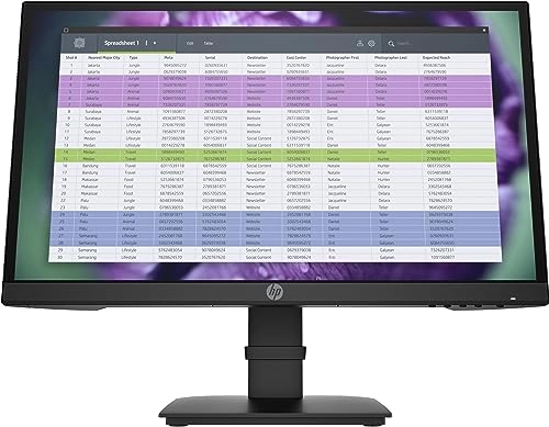 P22 G4 - 21.5 inch 1920 X 1080 pixels